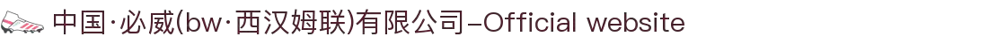 中国·必威(bw·西汉姆联)有限公司-Official website